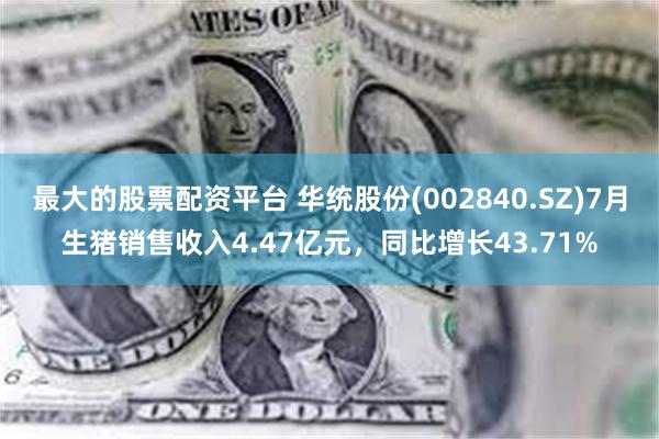 最大的股票配资平台 华统股份(002840.SZ)7月生猪销售收入4.47亿元，同比增长43.71%