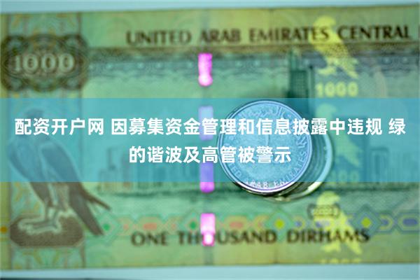 配资开户网 因募集资金管理和信息披露中违规 绿的谐波及高管被警示