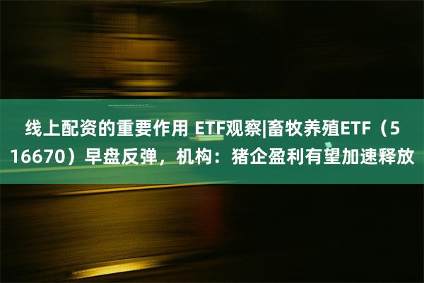 线上配资的重要作用 ETF观察|畜牧养殖ETF（516670）早盘反弹，机构：猪企盈利有望加速释放