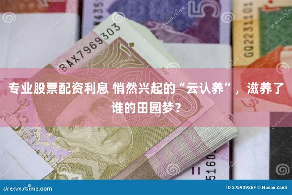 专业股票配资利息 悄然兴起的“云认养”，滋养了谁的田园梦？