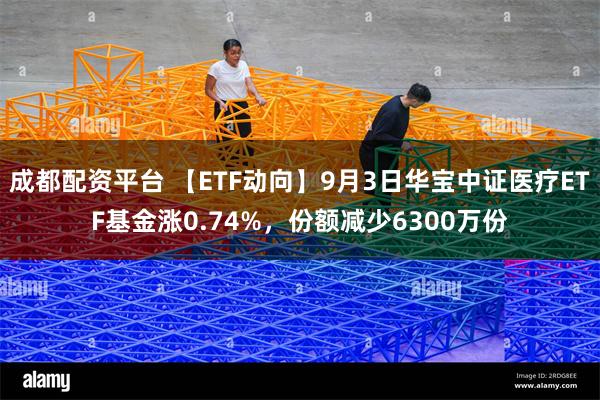 成都配资平台 【ETF动向】9月3日华宝中证医疗ETF基金涨0.74%，份额减少6300万份