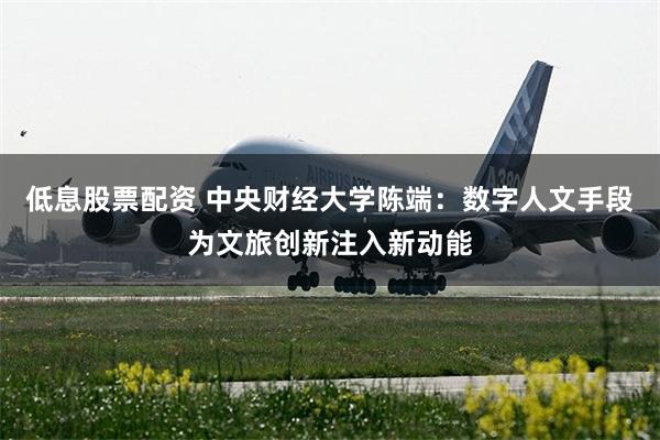 低息股票配资 中央财经大学陈端：数字人文手段为文旅创新注入新动能