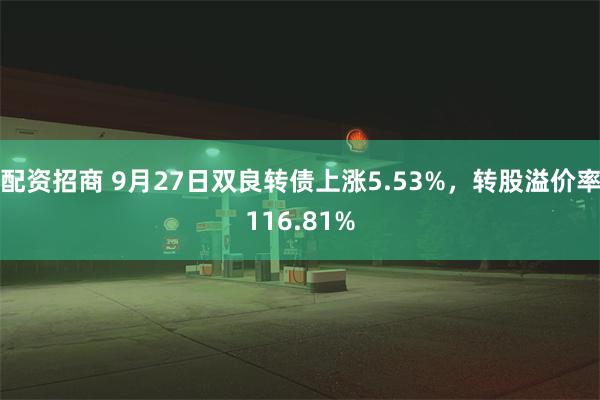 配资招商 9月27日双良转债上涨5.53%，转股溢价率116.81%