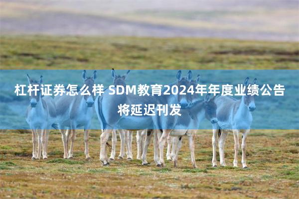 杠杆证券怎么样 SDM教育2024年年度业绩公告将延迟刊发