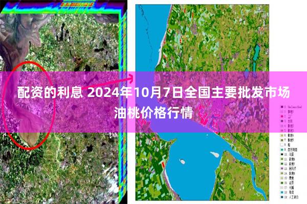 配资的利息 2024年10月7日全国主要批发市场油桃价格行情