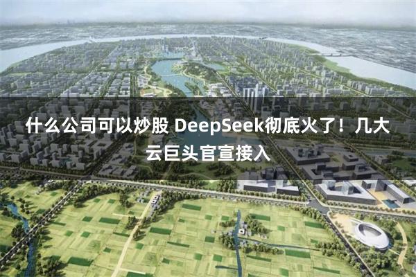 什么公司可以炒股 DeepSeek彻底火了！几大云巨头官宣接入