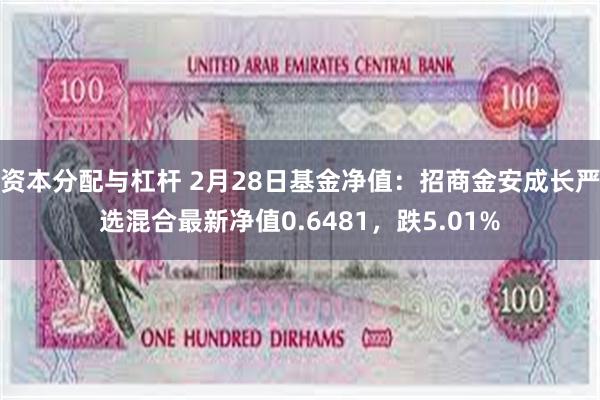 资本分配与杠杆 2月28日基金净值：招商金安成长严选混合最新净值0.6481，跌5.01%