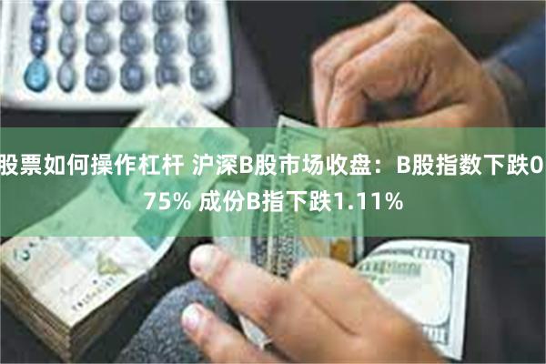 股票如何操作杠杆 沪深B股市场收盘：B股指数下跌0.75% 成份B指下跌1.11%